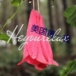 美國黃一極