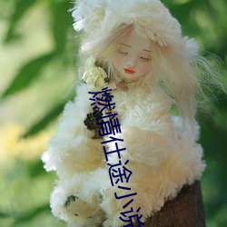 燃情仕途小(小)说