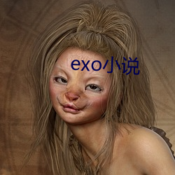 exo小说