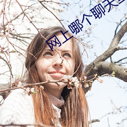 网上哪个聊天室好