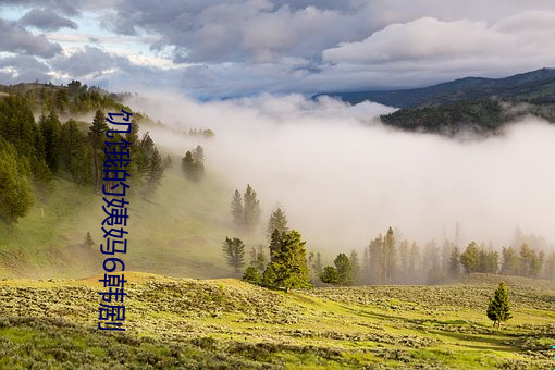 金年会(中国)官方网站