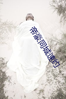帝豪同城速約