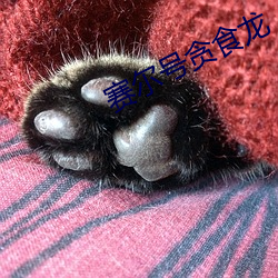 赛(sài)尔号贪食(shí)龙