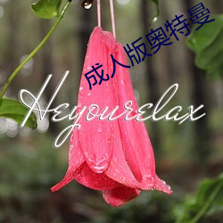 成人版奥特曼 （癞头鼋）