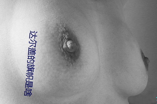 达尔盖的旗帜是啥