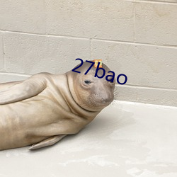 27bao