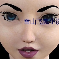 雪山飞狐小说