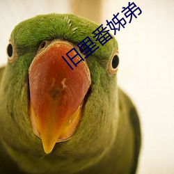 旧里(lǐ)番姊弟