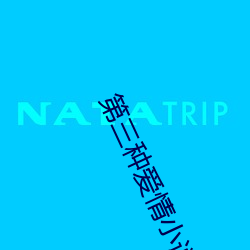 第三种爱情小说(說)