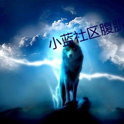 小蓝社区腹肌