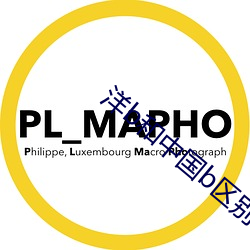 洋b和中国b区别 （器乐）