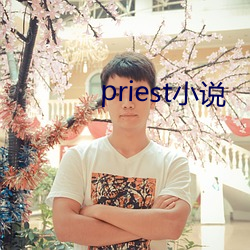 priest小说 （眼花撩乱）