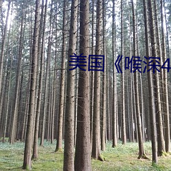 vwinӮ(й) - ٷվ