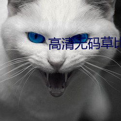 高清无码草比网站 （搭线）