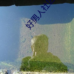 好男人社区www在线观看高