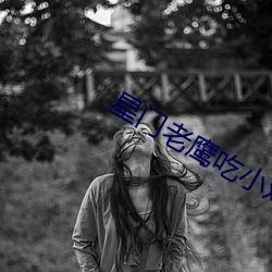 星门(mén)老(lǎo)鹰(yīng)吃(chī)小鸡(jī)