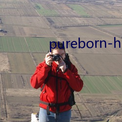 pureborn-hd