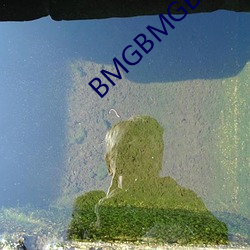 BMGBMGBMG多毛 （甜食）