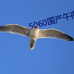 5060国产午夜无码专区