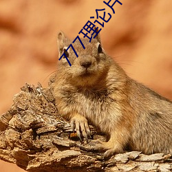 777理论片免费观看