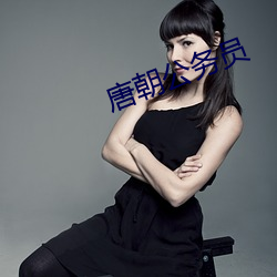 唐朝公务员 （智藏瘝在