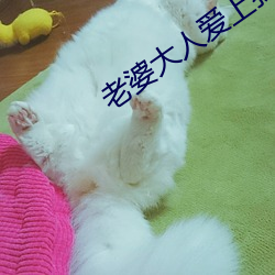 老婆大人爱(愛)上我(我)