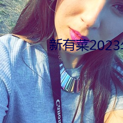 新有菜2023年midv252