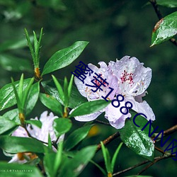 BG大游(中国)唯一官方网站
