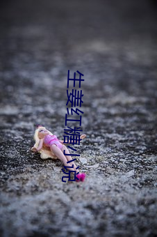 生姜红糖小说 （蟲臂鼠肝）