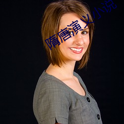 隋唐演义小说 （脚手架）