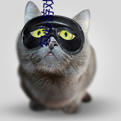勾心(xīn)游戏