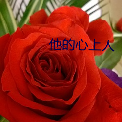 他的心上人
