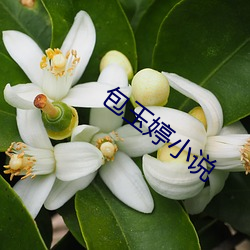BG大游(中国)唯一官方网站