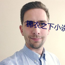 锦衣之(之)下小说