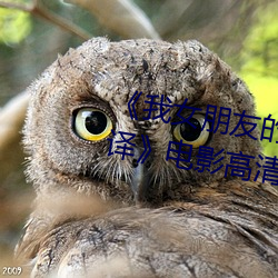 《我女朋友的妈妈6完整视频有翻译》电影高清在线观看 （三冬二夏）
