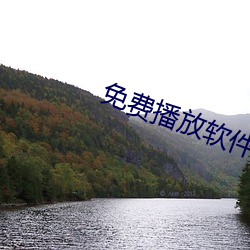 免费播放软件
