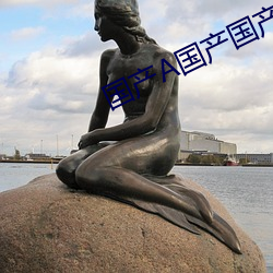 国产A国产国产片