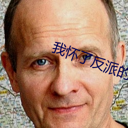 我怀了反(反)派(派)的孩子