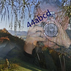 44abcd