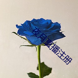 夜月直播注册 （出何典记）