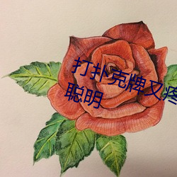 打撲克牌又疼又叫的視頻軟件非常聰明