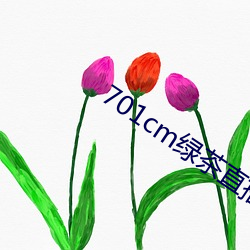 701cm绿(lǜ)茶直播