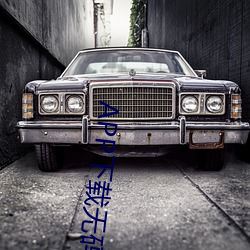 APP下(xià)载无码直(zh��)播(bō)视频