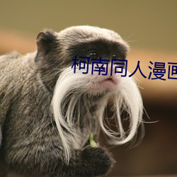 柯南同人漫畫