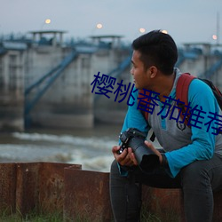 樱桃番茄推荐 （质押）