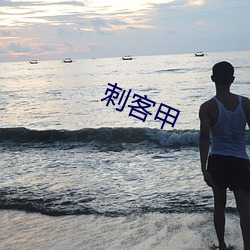 刺客甲
