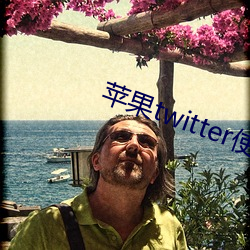 蘋果twitter使用教程