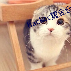 hackcc黄金仓库