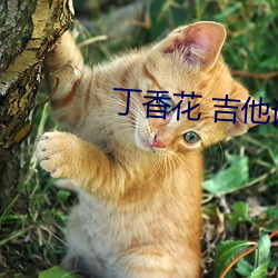 金年会(中国)官方网站