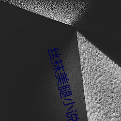 丝袜(襪)美腿小说